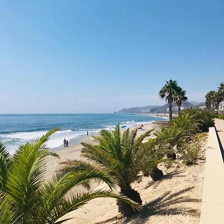 Ola Laguna Playa *